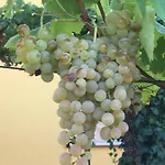 Sa Chiriasa 아파트 *