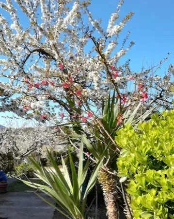 Sa Chiriasa Apartment