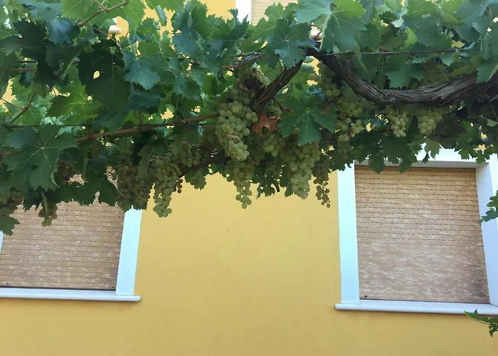 Sa Chiriasa 公寓 蒙蒂